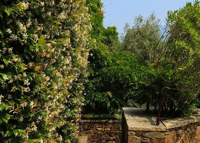 Βίλα Isabella Μενάτζιο